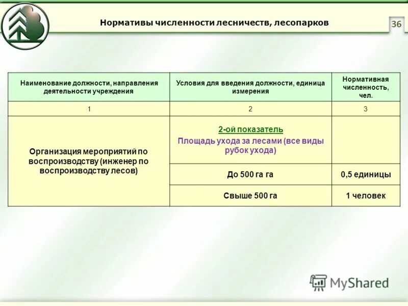 Нормативы численности работников. Норматив численности работников. нормативная численность лесничества. структура лесничества (лесопарка).. нормы штатной численности в лесничествах.