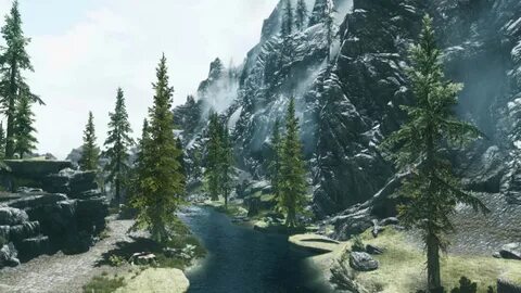 Forest 1 6