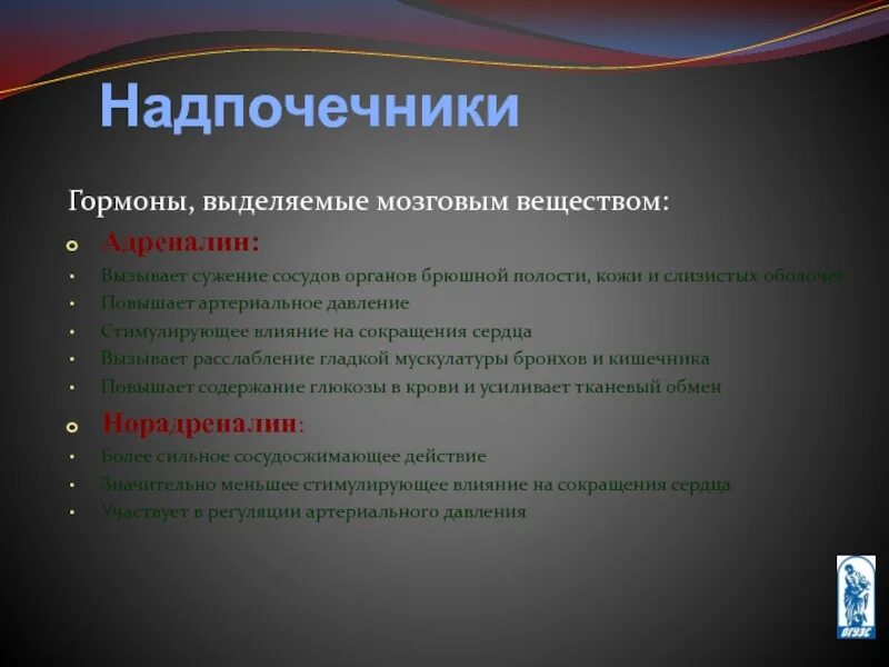Адреналин вызывает выберите ответ. Сужение сосудов адреналин. влияние адреналина на сосуды. адреналин сужает сосуды. адреналин вызывает.
