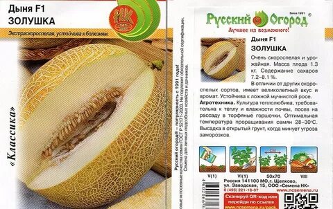 Дыня золушка