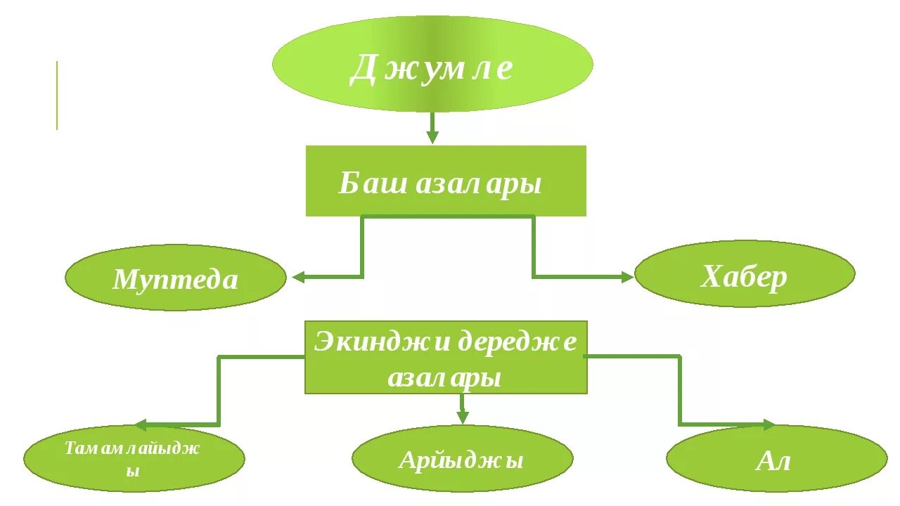 Баш нка вермишел вый. Дередже азалары. Джумленинъ баш ве Экинджи дередже азалары. Тамамлайыджы Айырыджы ал. Джумленинъ синтактик талиль.