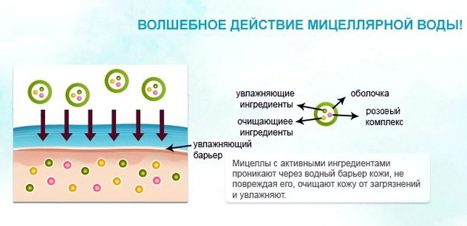 Как использовать мицеллярную воду. Строение мицеллярной воды. Принцип действия мицеллярной воды. Пав в мицеллярной воде. Мицеллы в мицеллярной воде.