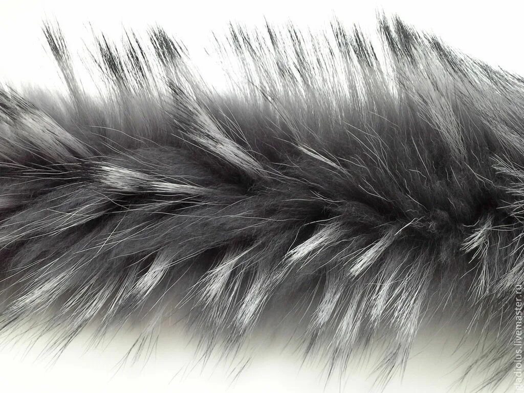 Картинка опушка у рукава черная. Опушка енот. Опушка из меха енота. Мех енота оттенки. Мех енота на капюшон.
