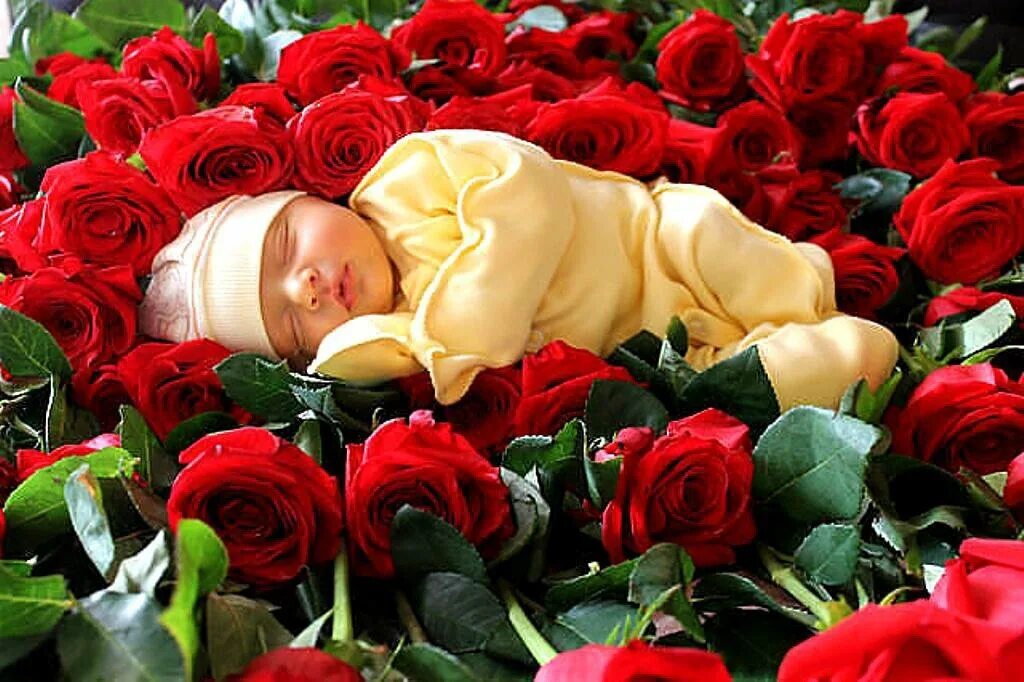 Мама розочки. Букет для мамы. Букет роз для мамы. Букет роз с рождением ребенка. Красивые цветы для мамы.