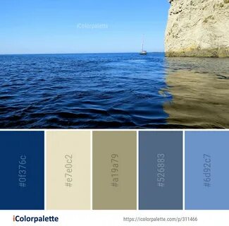 Ocean цвет