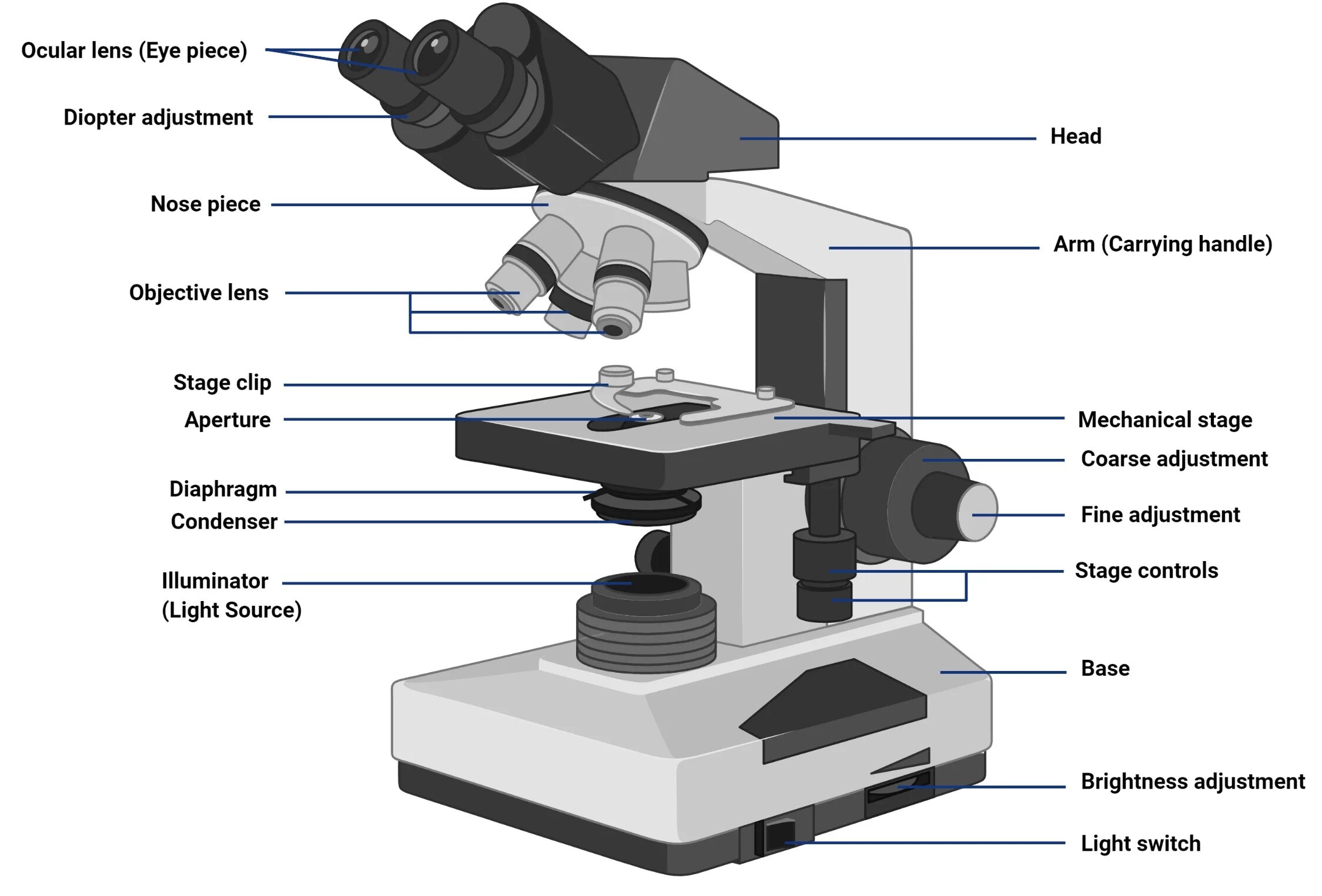 Какое увеличение у цифрового микроскопа. Микроскоп p5000i Digital Analysis Microscope. Микроскоп с2108. Строение микроскопа макровинт. Строение микроскопа Микмед.