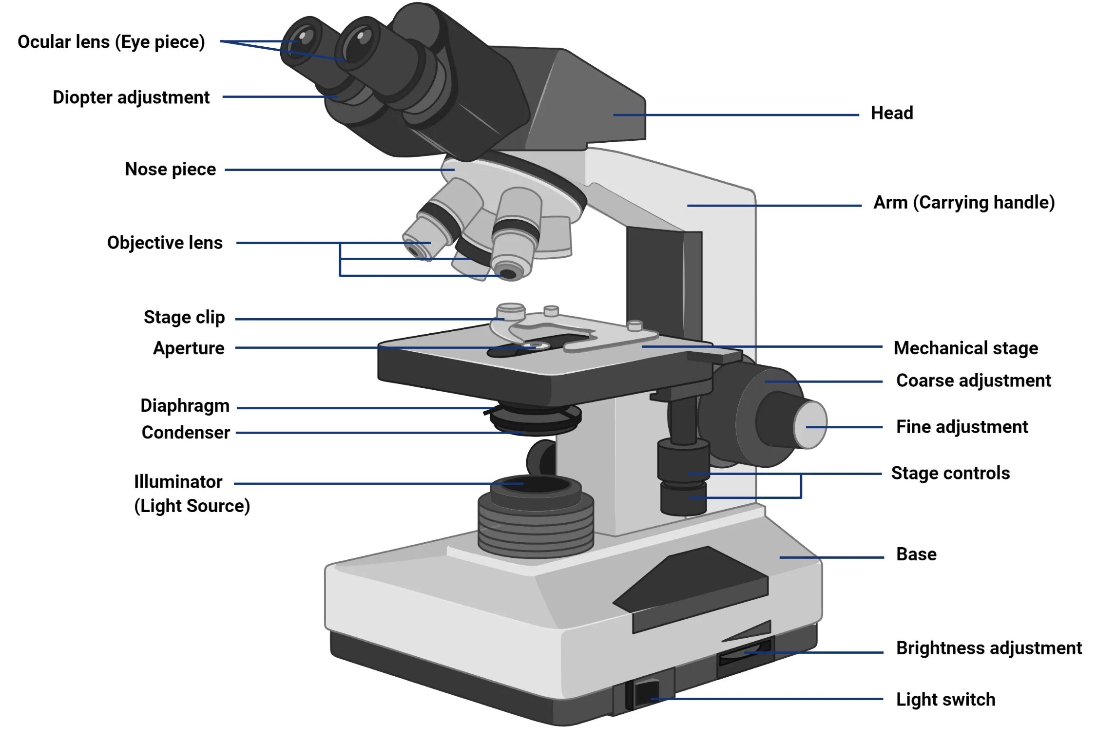 Какую функцию выполняет столик в микроскопе. Микроскоп p5000i Digital Analysis Microscope. Микроскоп с2108. Строение микроскопа макровинт. Строение микроскопа Микмед.