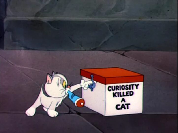 Curiosity killing the cat