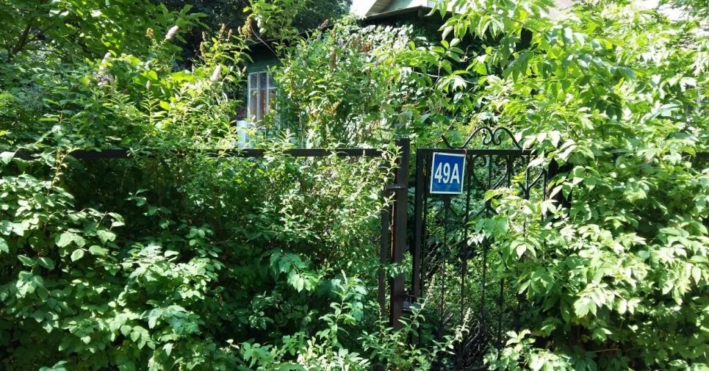 Д. Городской округ пушкинский, дп. 1. Д черкизово ул ганны шостак д. Пансионат гармония малаховка.
