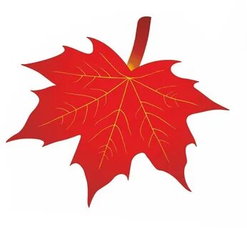 Листья клена 7