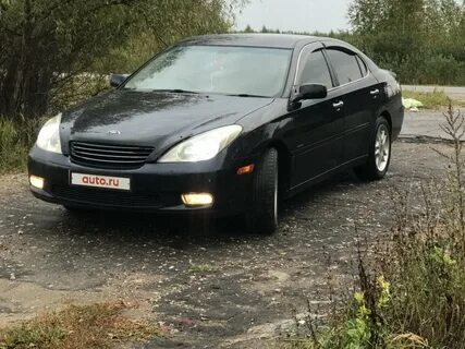 Виндом отзывы