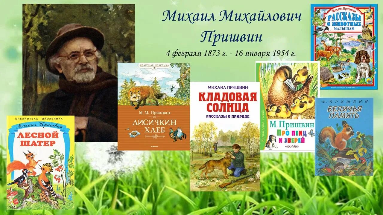 Произведения о природе россии. Писатель натуралист пришвин. Юбилей писателя пришвин - 150 лет. 150 Лет со дня рождения Михаила Михайловича Пришвина.