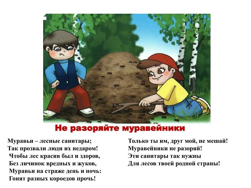 Стих не разрушай. Не разоряйте муравейники. нельзя разорять муравейники. не разрушай муравейники. не трогай муравейник.