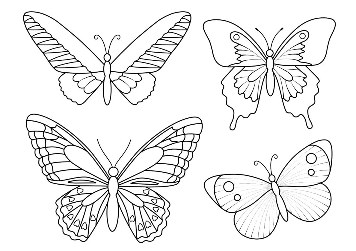 Раскраски формата а5 распечатать. Раскраска "бабочки". Бабочка раскраска для детей. Раскраска для девочек бабочки. Картинки для раскрашивания бабочки.