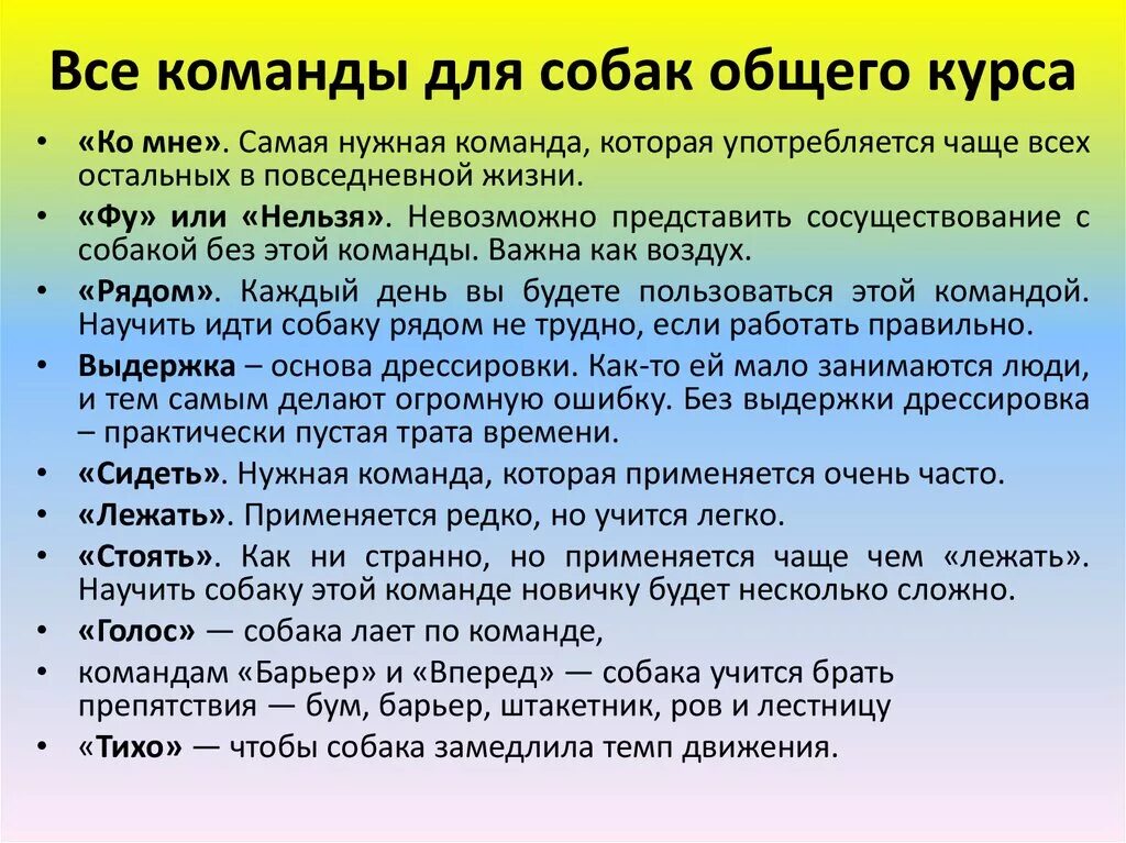 Какие команды должен знать. Команды для собак. Команды для собак список. Важные команды для собак. Основные команды для дрессировки собак.