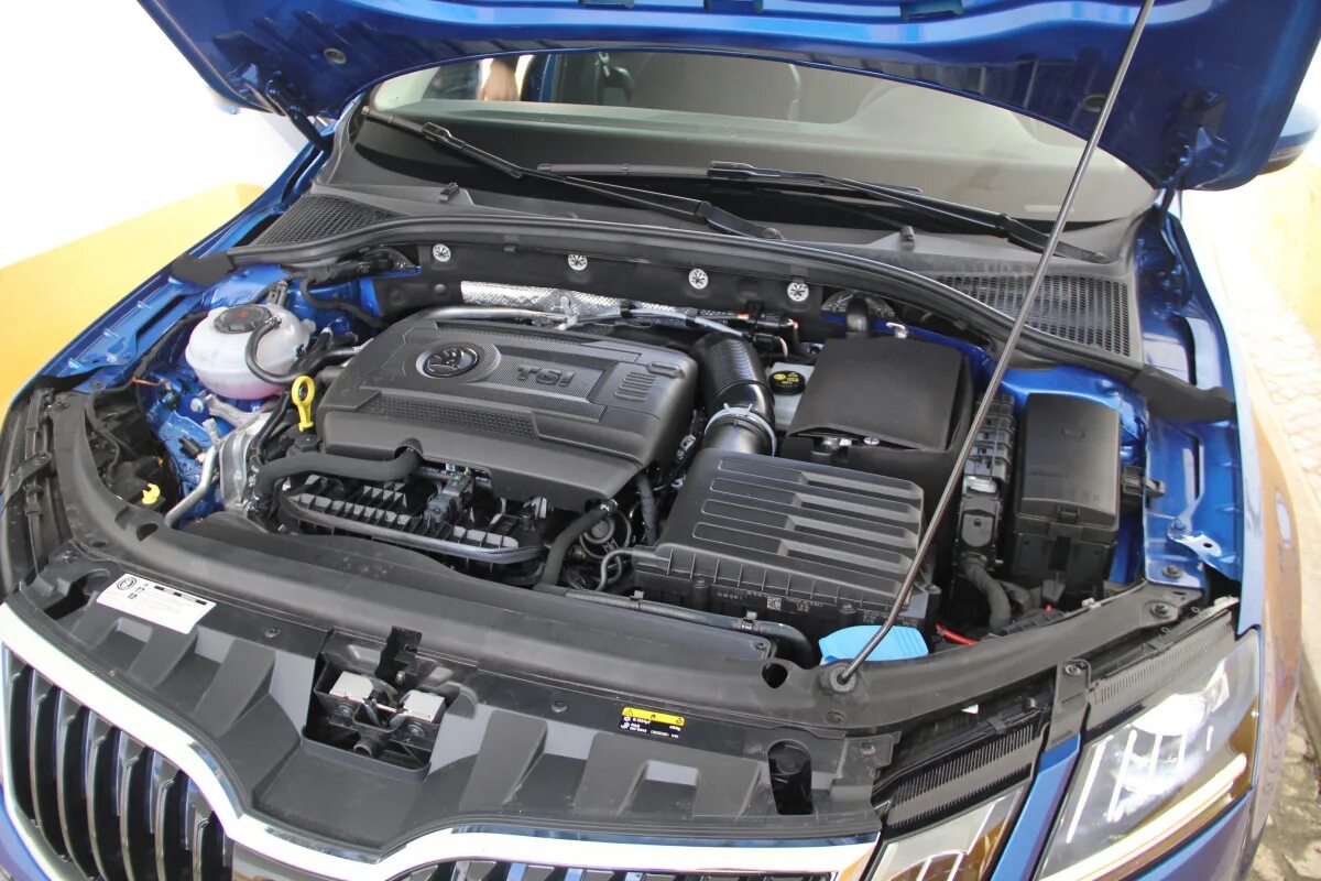 Моторное 2017