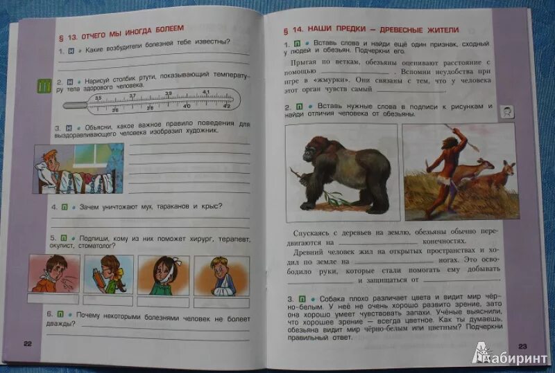 Описать рождение тетради окружающий мир 3 класс. Человек и природа рабочая тетрадь 4 класс. окружающий мир параграф. параграфы по окружающему миру 4 класс. мир природы и человека рабочая тетрадь.