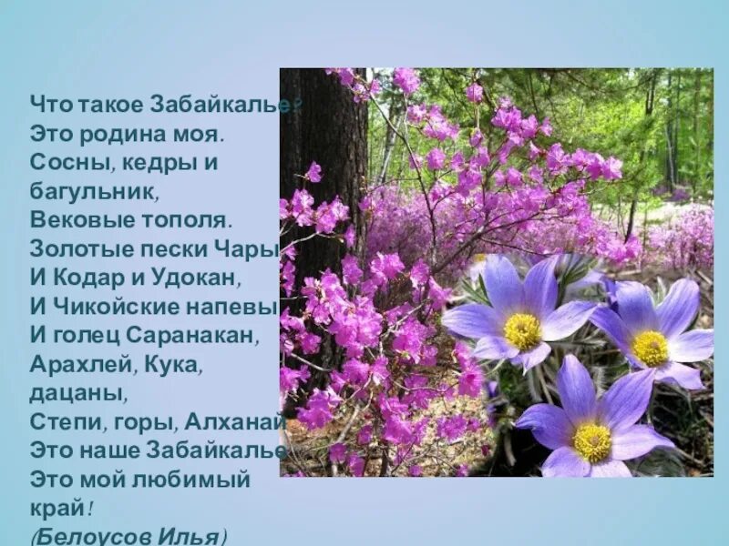 стихи забайкальских поэтов