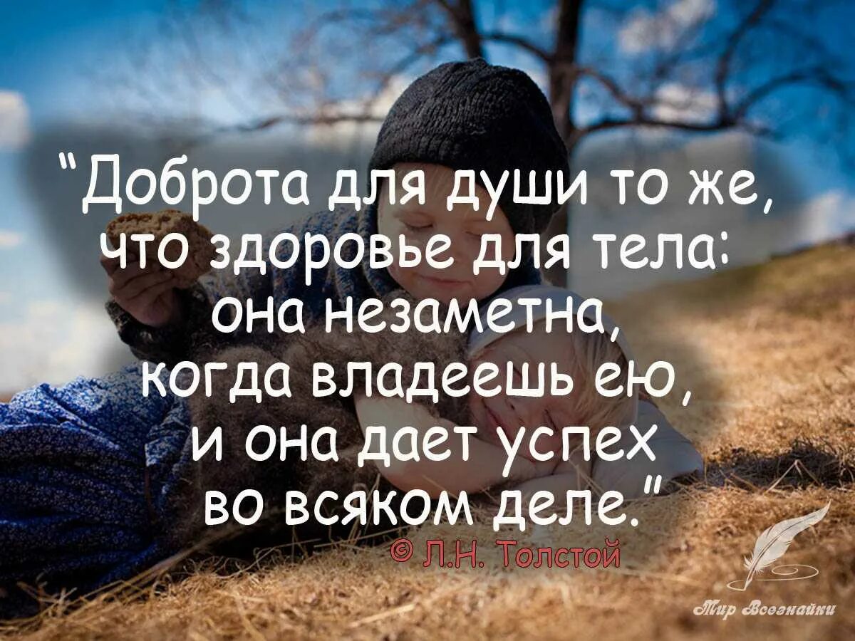 Душевно отзывчивый. Высказывания о доброте. Цитаты про доброту. Красивые фразы про добро. Умные мысли о доброте.