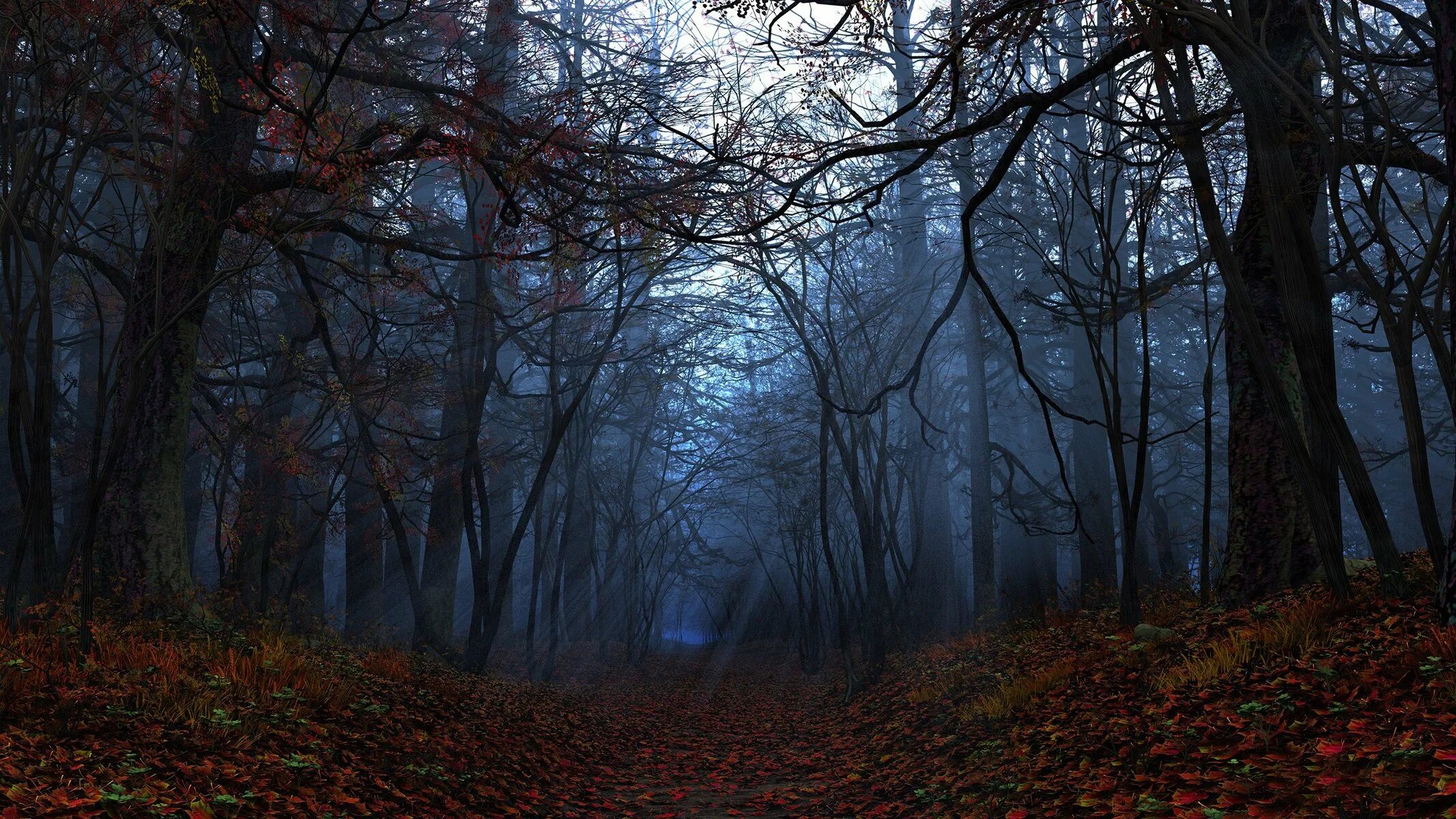 Фулл в лесу. Мрачная осень. Мрачный пейзаж. Темный лес. Мистический лес.