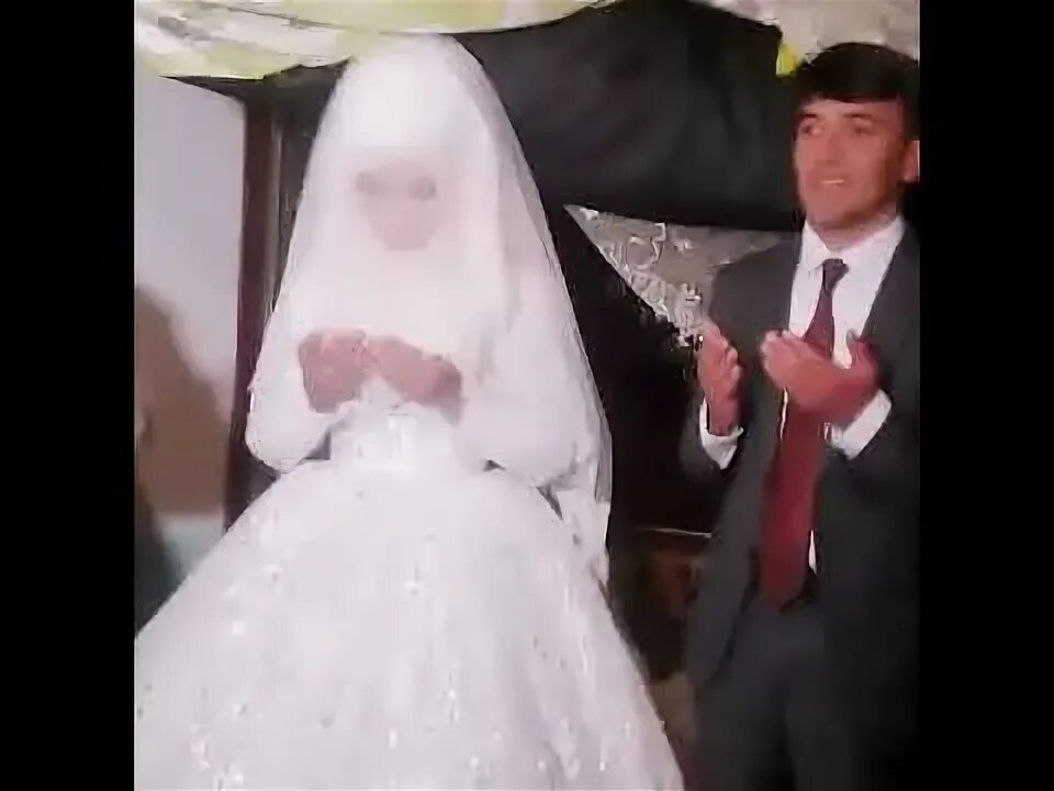 Куксарой туй. Кушиклар туплами. Райхон. Туй мрз. Туй таджикистан.