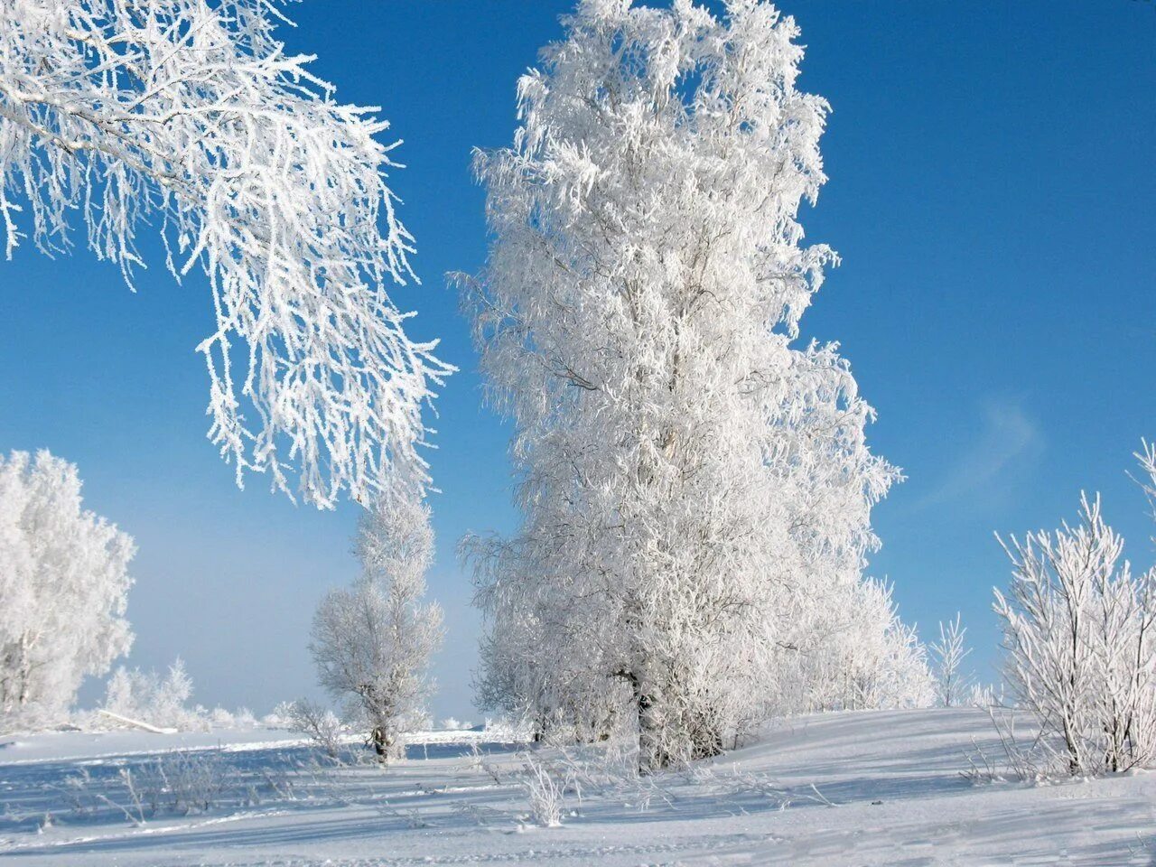 Зимний воздух чистый морозный. Красивая зима. Зимний день. Солнечный зимний день. Морозная зима.