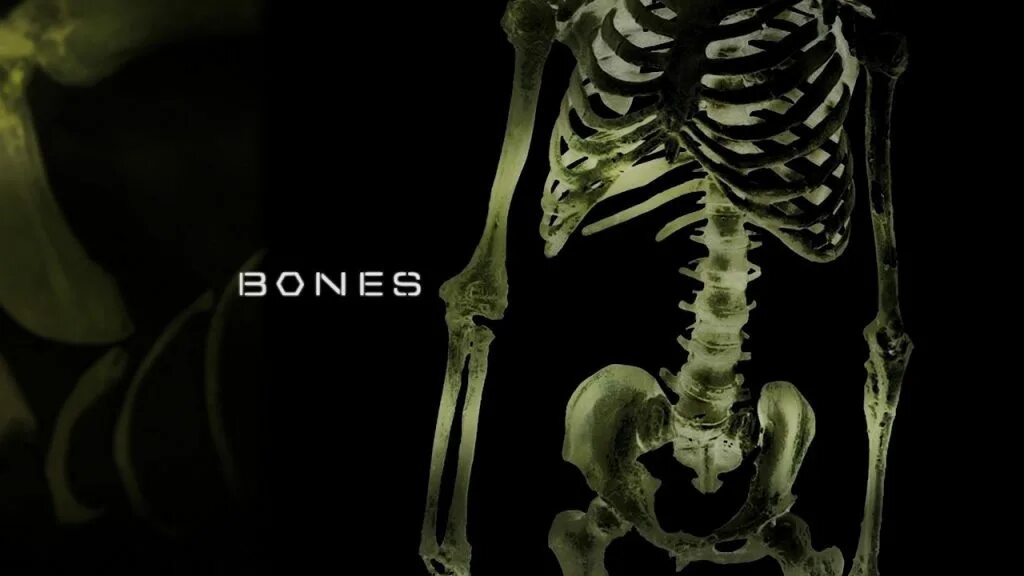 Три дня кости. Bones Elmo. Bones 2013. Bones сейчас. Bones обои.