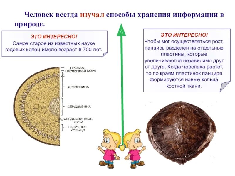 Хранение информации в природе. Информация на тему: носители информации в живой природе. хранение информации в природе примеры. носители информации в живой природе конспект.