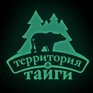 Томск тайга на машине