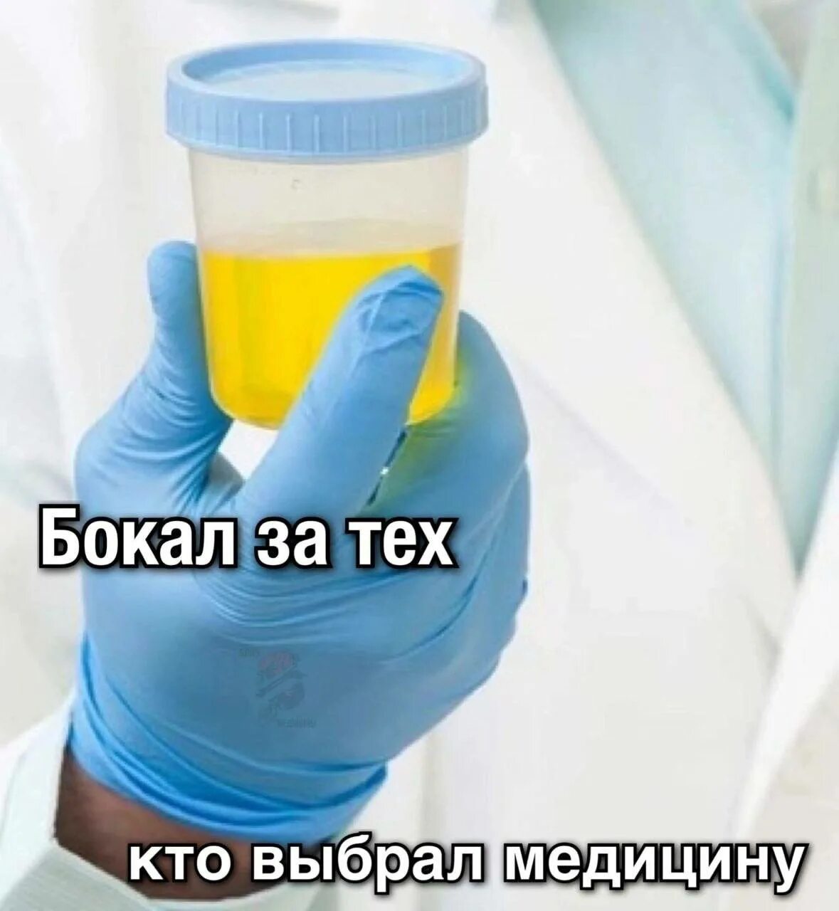 Сдать мочу в кдл