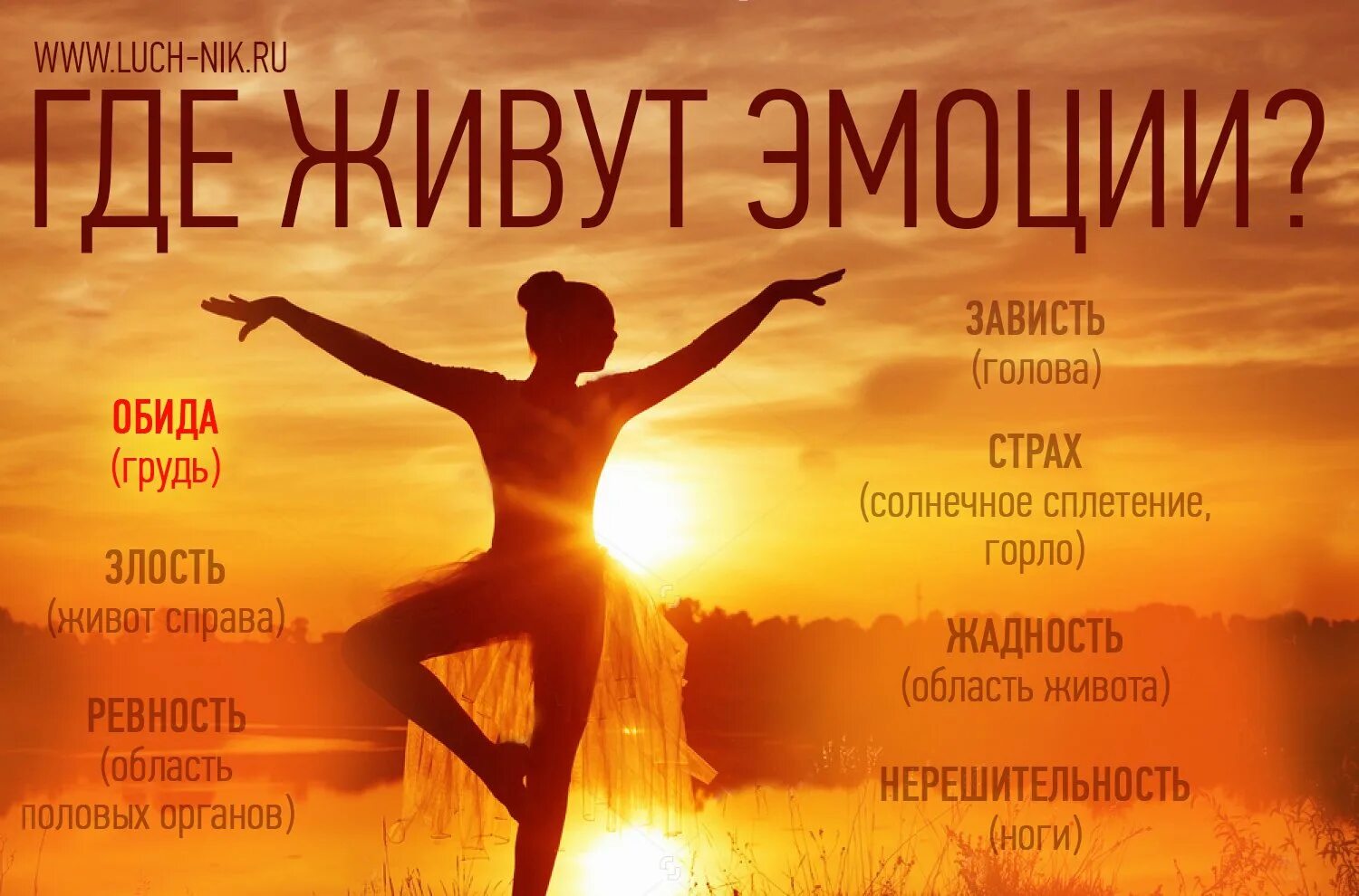 Чувства и ощущения в теле. Здоровья и позитивных эмоций. эмоции и тело взаимосвязь. эмоции в теле. негативные эмоции тело.