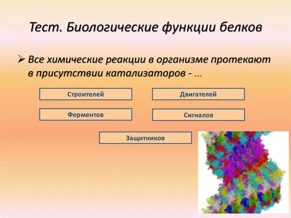 Тест белки функции. Биологические функции белков. Биологические функции белка. Биологическая роль белков. Биологическая роль белков тест.