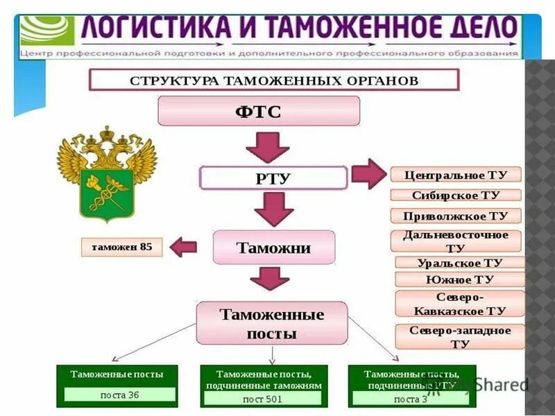 Тальман-сюрвейер. Логистика в таможенном деле. Таможня логистика. Таможенная логистика. Таможня логистика.