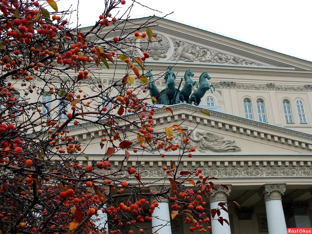 Большой театр (1821–1825 гг. И. Большой театр осенью. Большой театр в варшаве. Большой театр осенью.