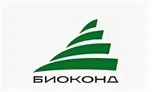 Строй арзамас