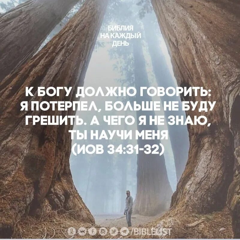 Совершенный бог слова