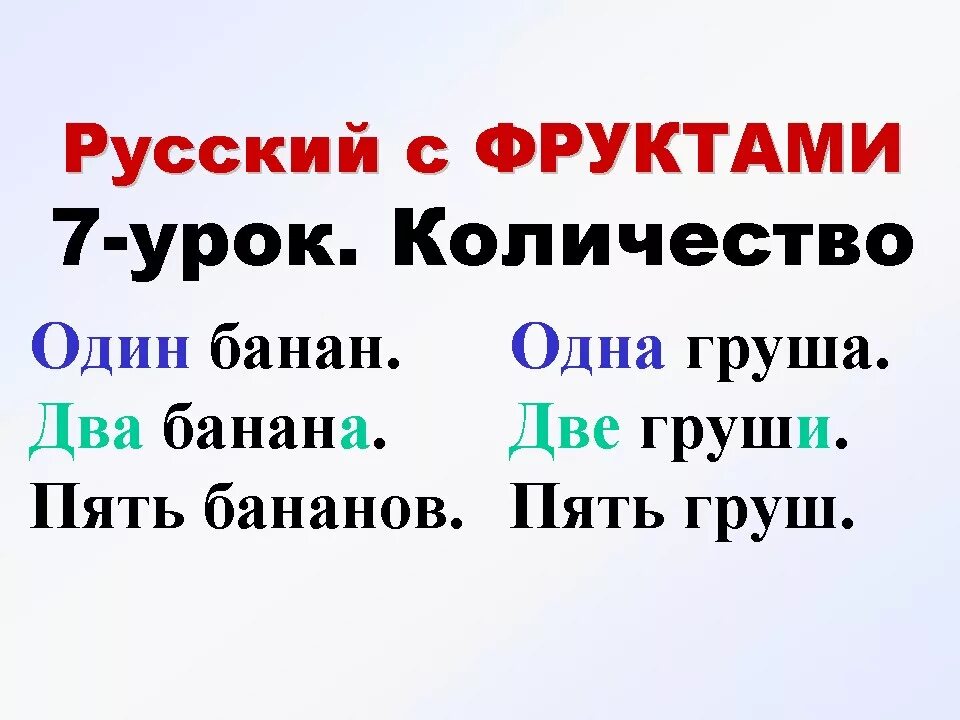 Начинающий изучать русский язык. Учить русский язык с нуля. Выучить русский язык с нуля. Учиться русский язык. Русский язык с нуля для начинающих.