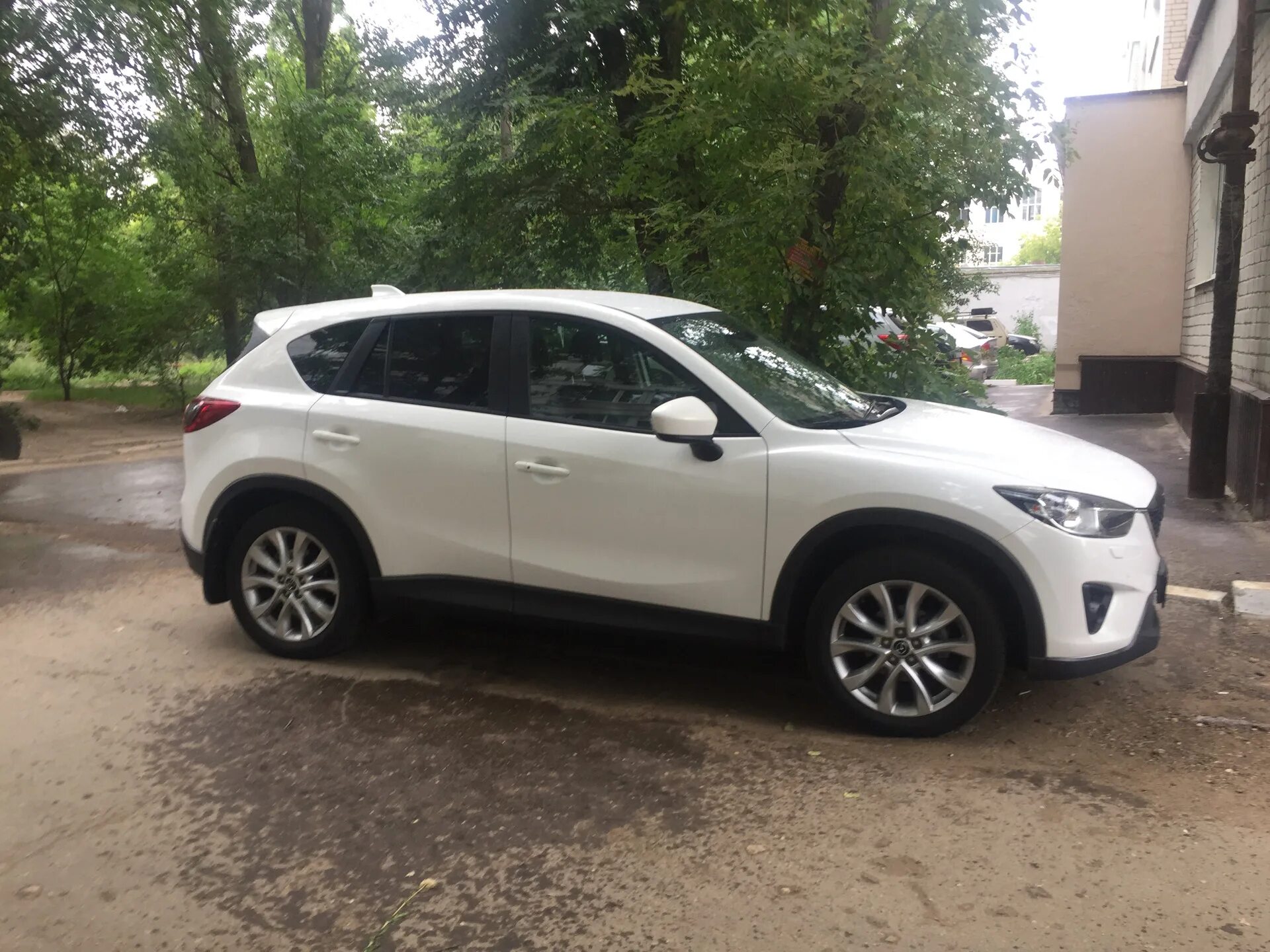 225 55 R17 Mazda cx5. 225 60 18 Мазда CX 5. 225/60/17 На сх5. 225/55/19 На мазду СХ-5. Летняя резина мазда сх5