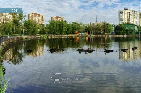 Пушкино пруд
