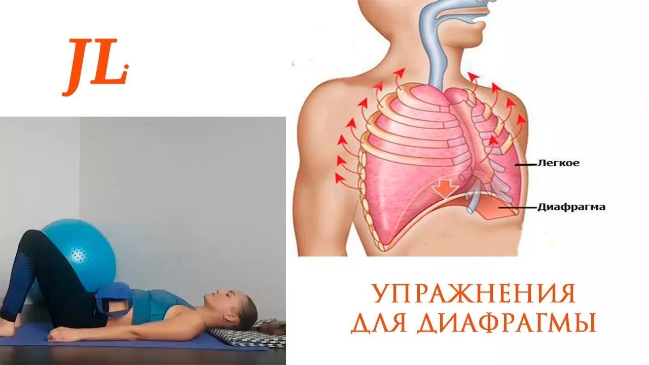 Диафрагмальное дыхание. Упражнения для диафрагмы. Диафрагма дыхание упражнения. Дыхательная гимнастика диафрагмальное дыхание.