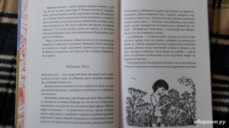 Легкие горы книга. Михеева легкие горы книга.