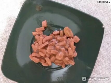 Кошачий корм ежу