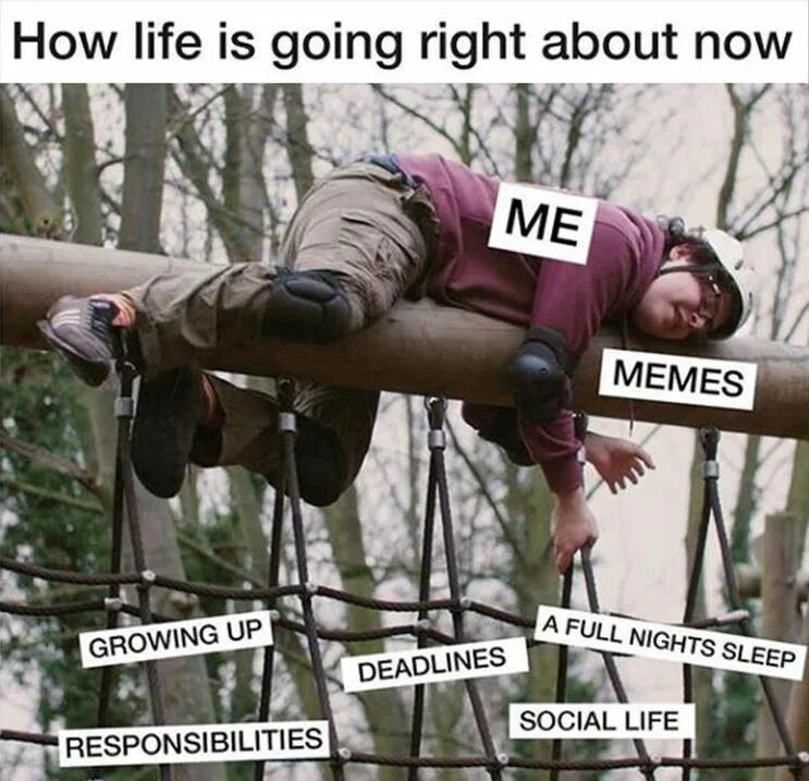 Life is going well. Deadline meme. life is going. dead line meme. памп дамп мем.