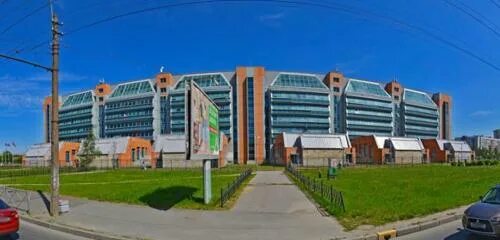 ФСБ задержала ректора университета Бонч-Бруевича в Петербурге - KP.RU