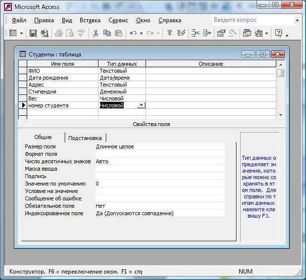Формат данных access. Ms access поля данных. что такое поле таблицы в access. обязательные поля в таблицах access. microsoft access типы полей.