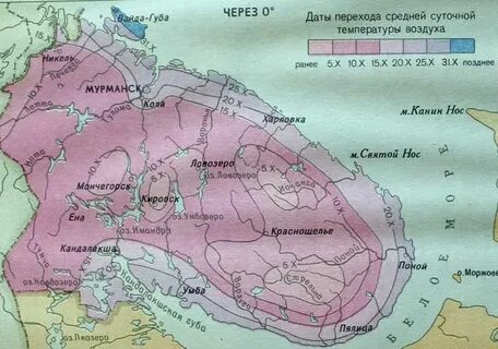 Температура кольская