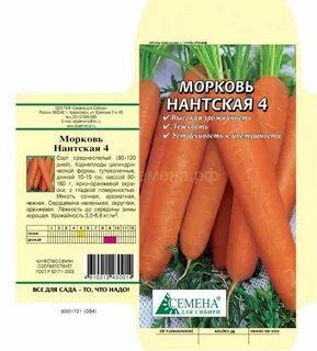Морковь нантская характеристика и описание