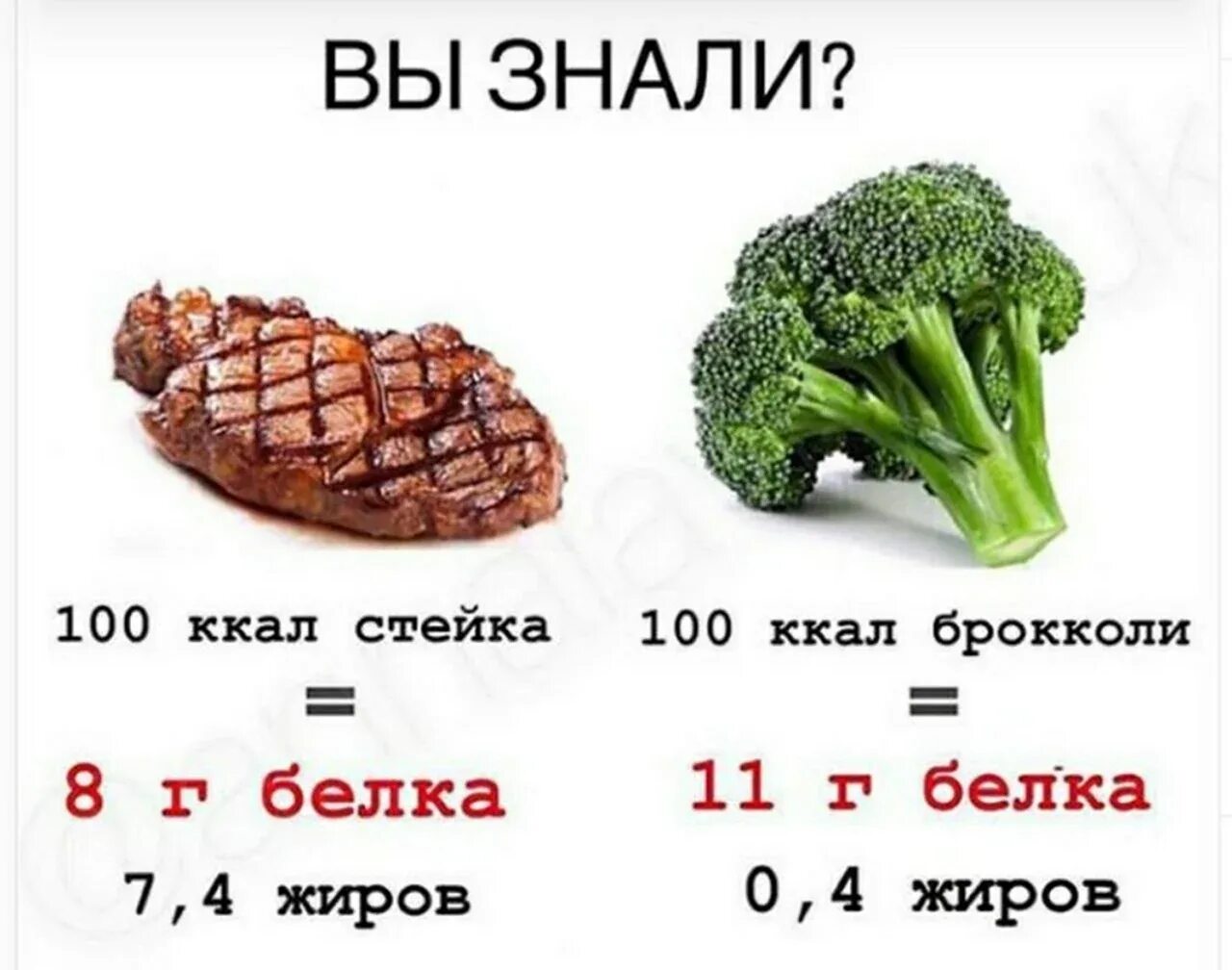 Капуста сколько углеводов на 100 грамм. Брокколи белок на 100 грамм. сколько калорий в брокколи. сколько белка в брокколи на 100 грамм. брокколи килокалории.