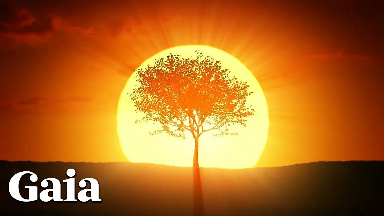 Солнышко подъем. Белогорье восходящее солнце. The sun rise now. Солнце. Чнус поднимал солнце.