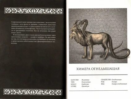 Читать химера